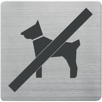 Tr-/Infoschild B90xH90mm - 5 ST  Sichtfenster Hunde verboten Rcken VA geb.