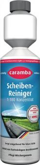 Scheibenreiniger Konzentrat - 1,5 L / 6 ST  1:100 250 ml Flasche CARAMBA