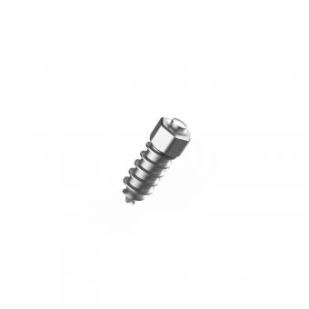 YARBO Anti-Rutsch Spikes (100 Stk.) - 1 Stk  Spikes f�r besseren Halt und mehr Traktion auf Schnee und Eis.