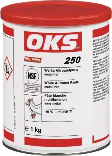 Allroundpaste OKS 250 wei - 1 KG / 1 ST 