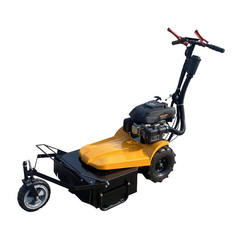LUMAG HGM550 Handgefhrter Mulchmher - 1 Stk 