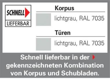 Rollladenschrank H1660xB1000xT420mm - 1 ST  schwarzgrau 3Fachbden