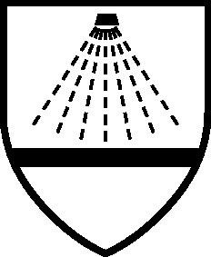 Schutzoverall CoverChem� - 1 ST  Gr.XXL (62/64) gelb PSA III COVERCHEM