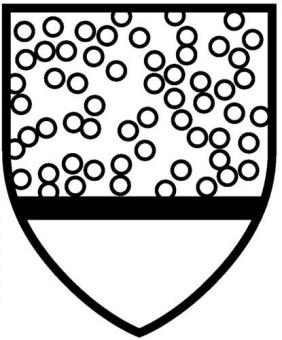 Schutzoverall Tychem 6000 - 1 ST  F Gr.XL grau PSA III DUPONT