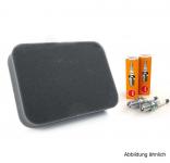 ENDRESS Wartungssatz ESE 2000i 