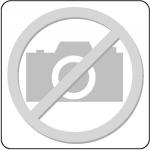 Stichsgeblatt T 101 BR Gesamt-L.100mm 