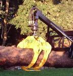 PERZL HVZ 110 Holzverladezange 