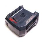 Schnelladegert 82 V mit zwei Steckpltzen 